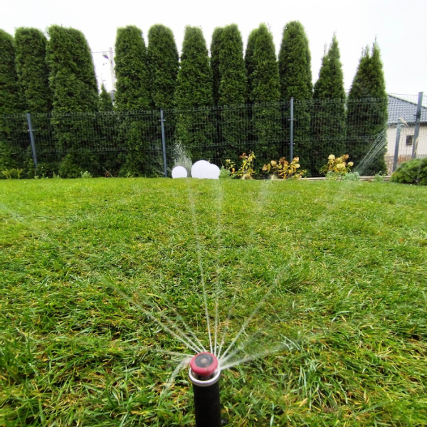 system nawadniający w ogrodzie